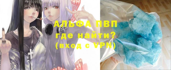 прущие грибы Бородино