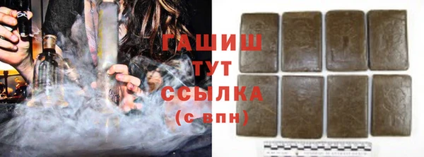 прущие грибы Бородино