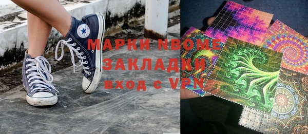 индика Богородск