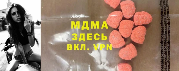 индика Богородск