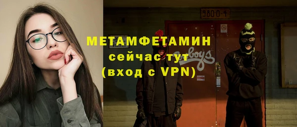 прущие грибы Бородино