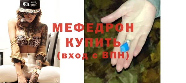 индика Богородск