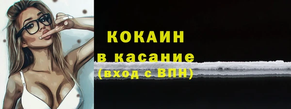 прущие грибы Бородино