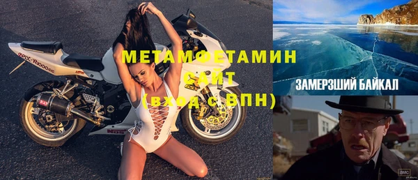 прущие грибы Бородино