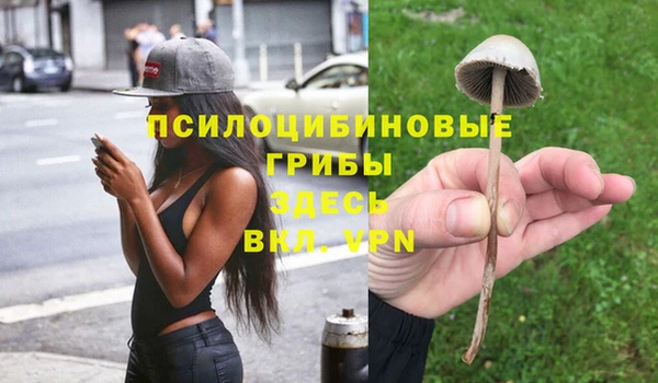 COCAINE Богданович