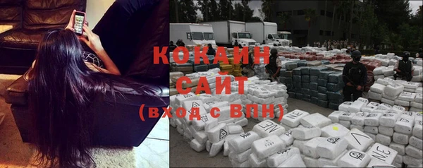 прущие грибы Бородино