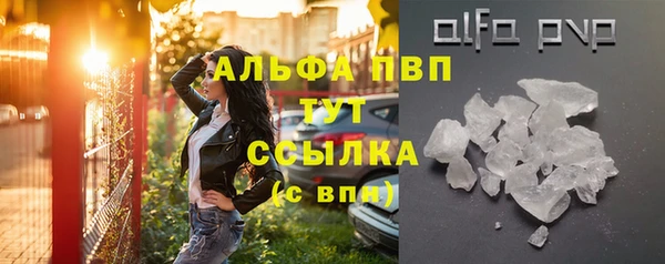 индика Богородск
