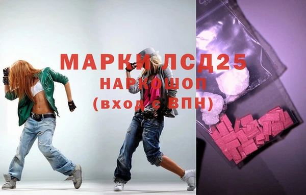 индика Дмитровск