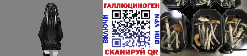 Галлюциногенные грибы Cubensis  Верхоянск 